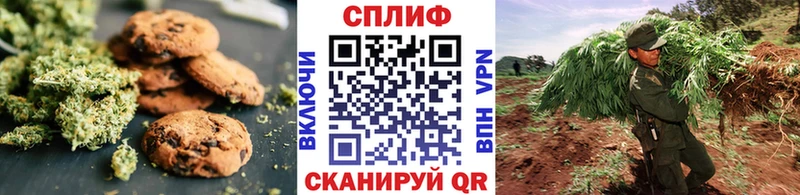 сколько стоит  Каневская  даркнет как зайти  Еда ТГК конопля  МЕГА  