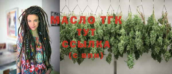 тгк Алзамай