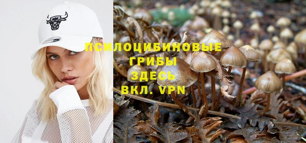 тгк Алзамай