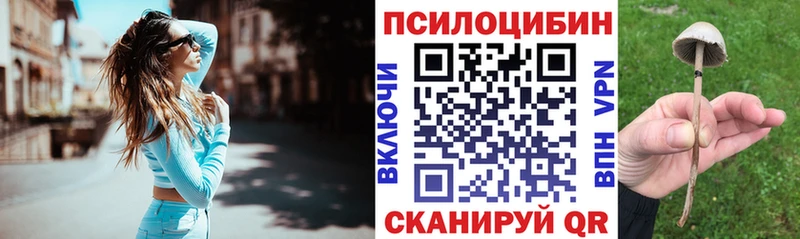 где можно купить   Каневская  Галлюциногенные грибы MAGIC MUSHROOMS 